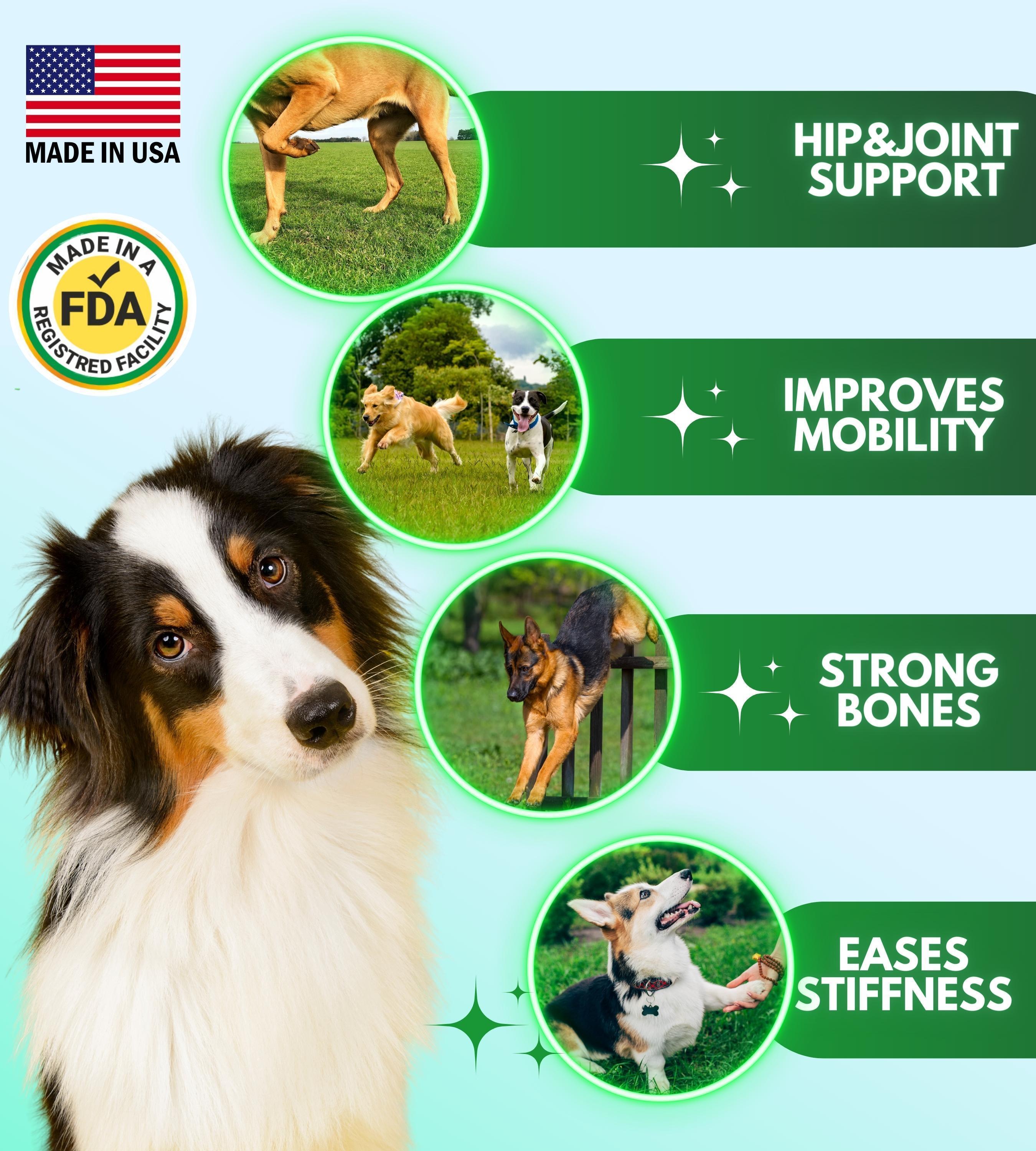 Advanced Hip & Joint Chews for Dogs — 120 Count