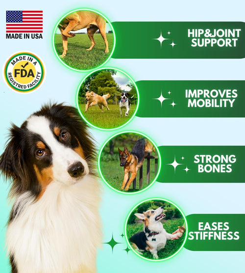 Advanced Hip & Joint Chews for Dogs — 120 Count