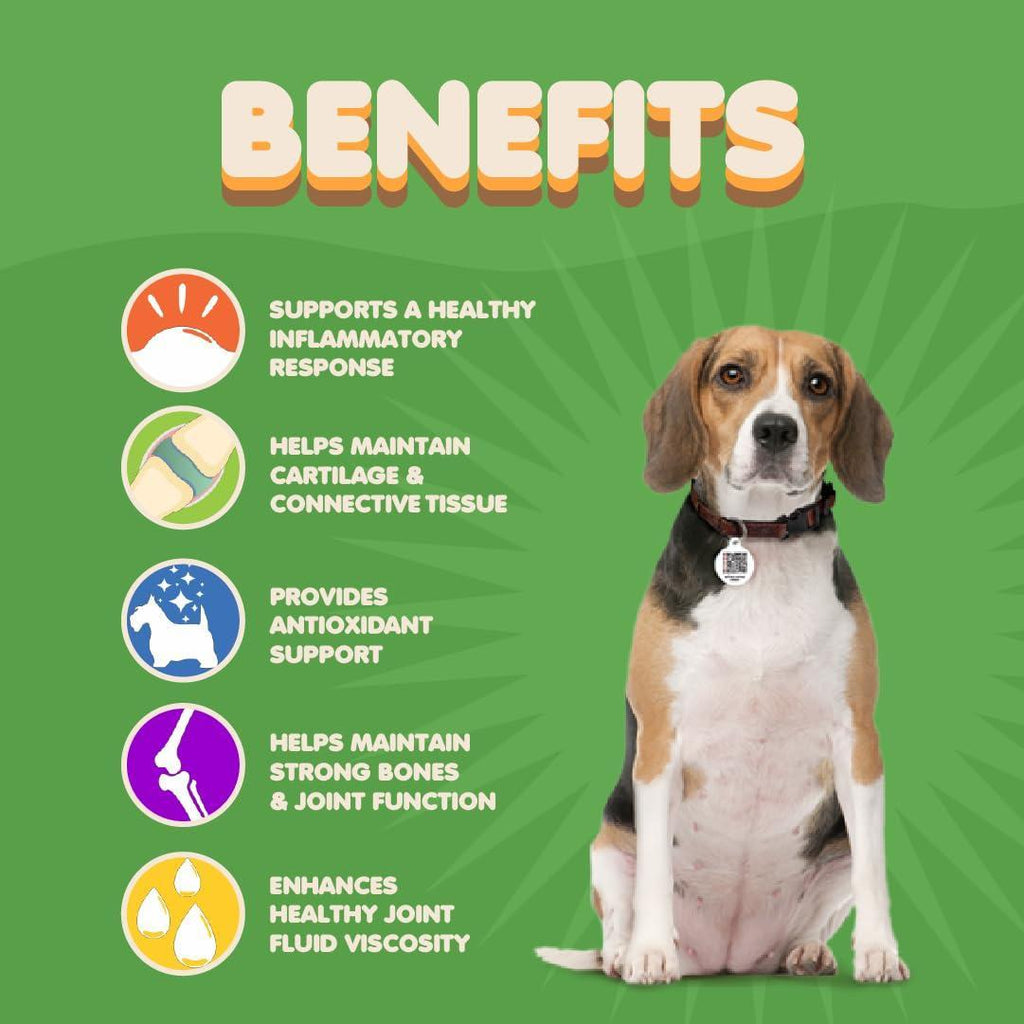 Hip & Joint Chews for Dogs