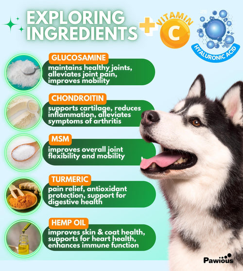 Close-up of Advanced Hip and Joint soft chews for dogs