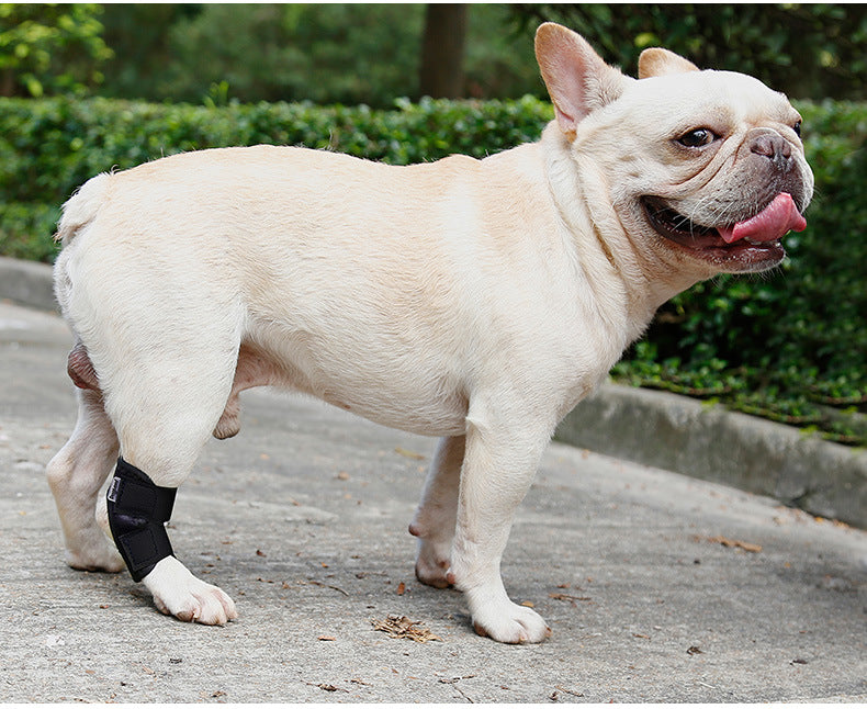 Dog Recovery Anti-Lick Joint Strap