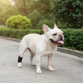 Anti-Lick Strap Hero