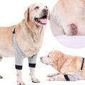 Dog wearing the Knee & Joint Protection Sleeve for arthritis and post-surgery recovery