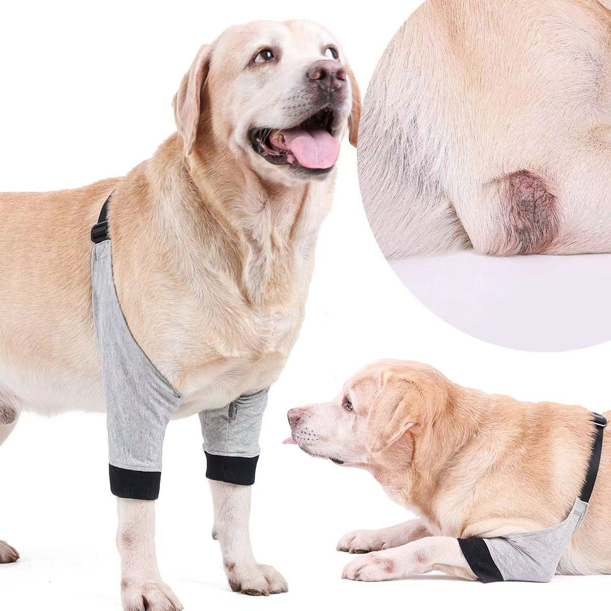 Dog Knee & Joint Protection Sleeve